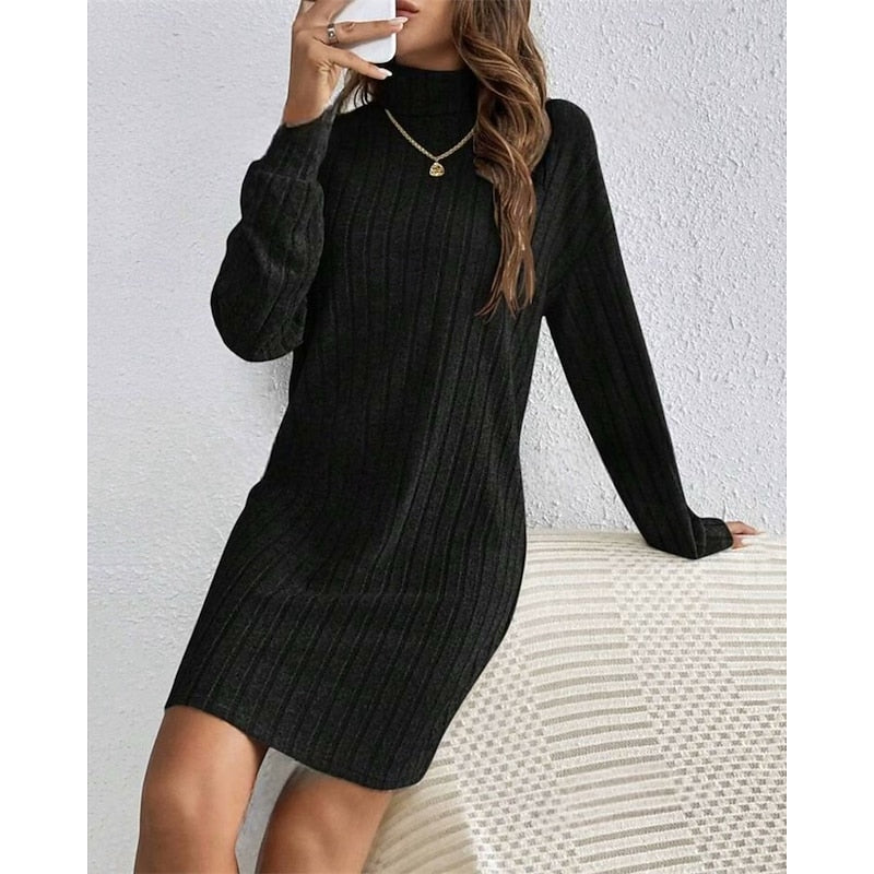 Ribbed Roll Neck Long Sleeve Mini Dress Modeberg Bern