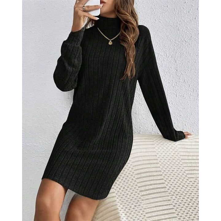 Ribbed Roll Neck Long Sleeve Mini Dress Modeberg Bern