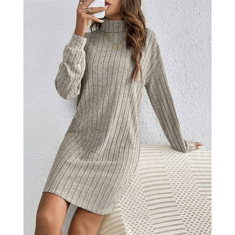 Ribbed Roll Neck Long Sleeve Mini Dress Modeberg Bern