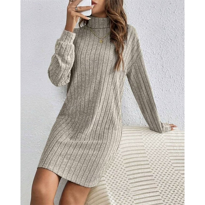 Ribbed Roll Neck Long Sleeve Mini Dress Modeberg Bern