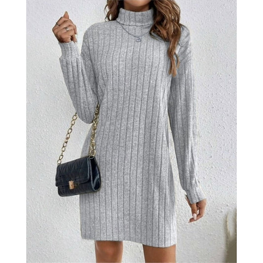 Ribbed Roll Neck Long Sleeve Mini Dress Modeberg Bern