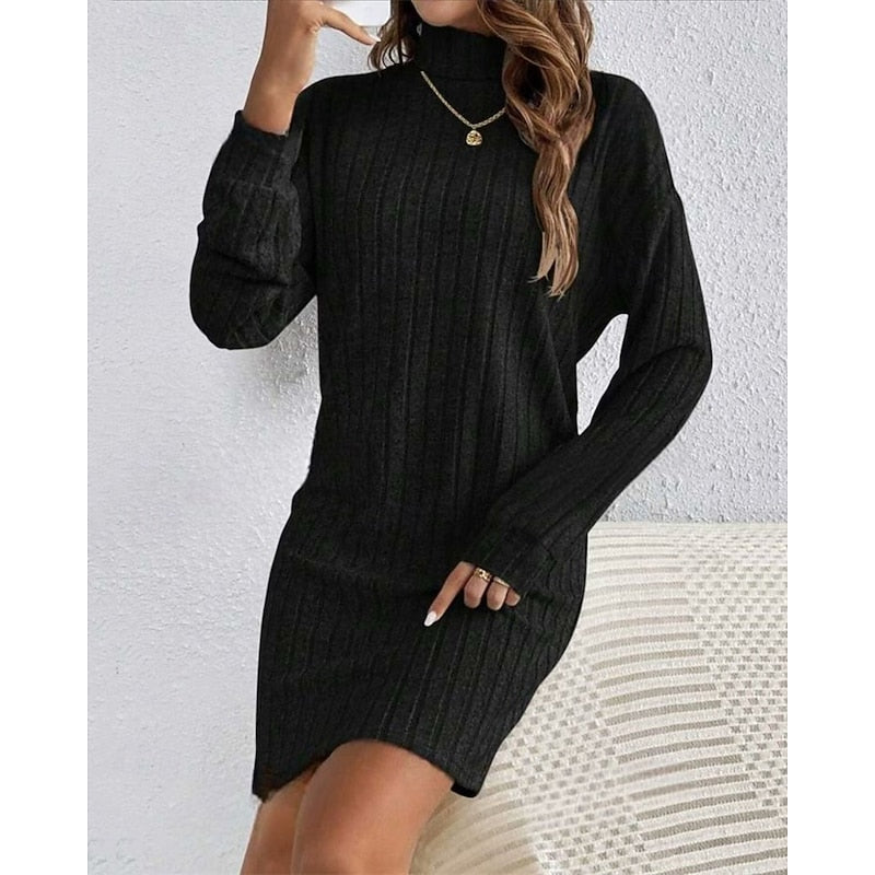 Ribbed Roll Neck Long Sleeve Mini Dress Modeberg Bern