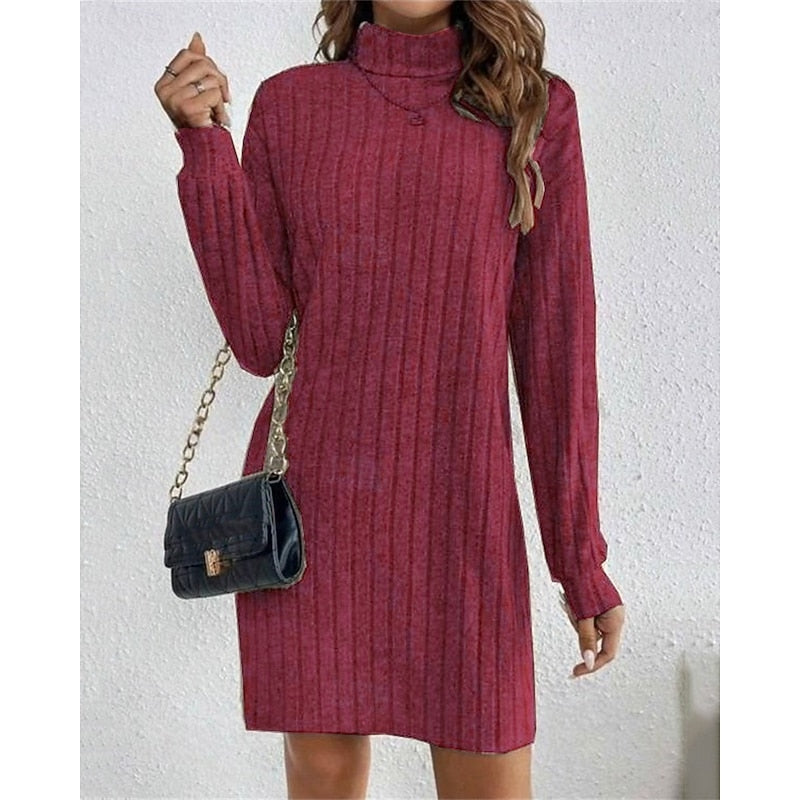 Ribbed Roll Neck Long Sleeve Mini Dress Modeberg Bern