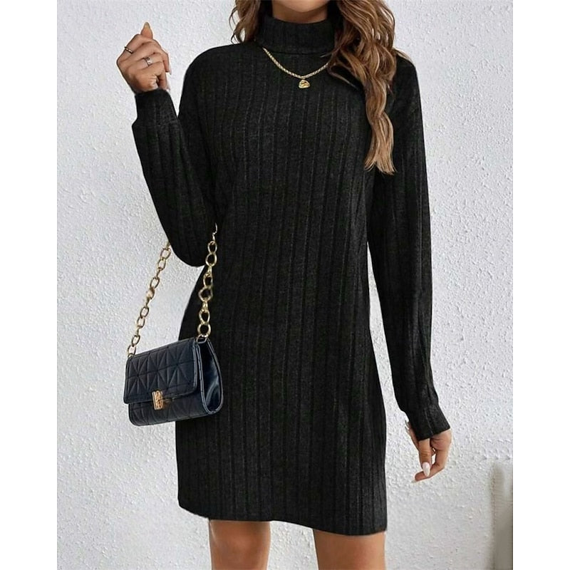 Ribbed Roll Neck Long Sleeve Mini Dress Modeberg Bern