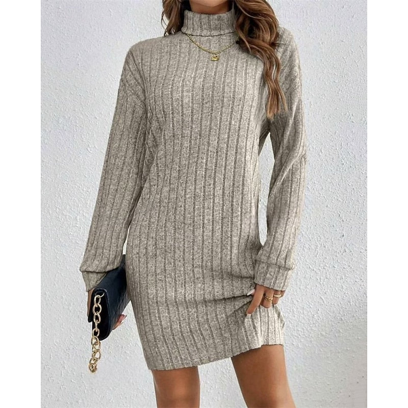 Ribbed Roll Neck Long Sleeve Mini Dress Modeberg Bern