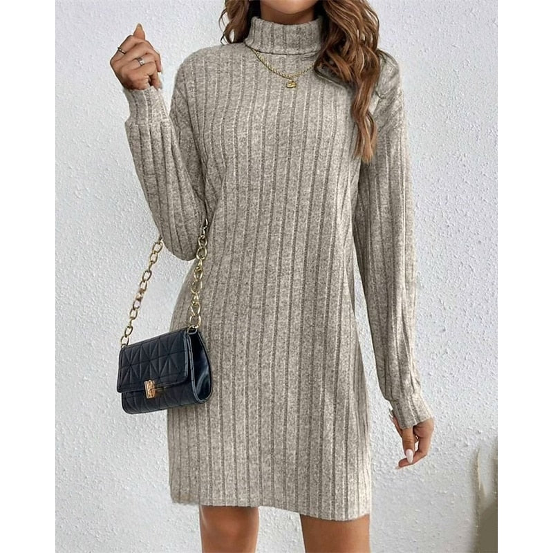 Ribbed Roll Neck Long Sleeve Mini Dress Modeberg Bern